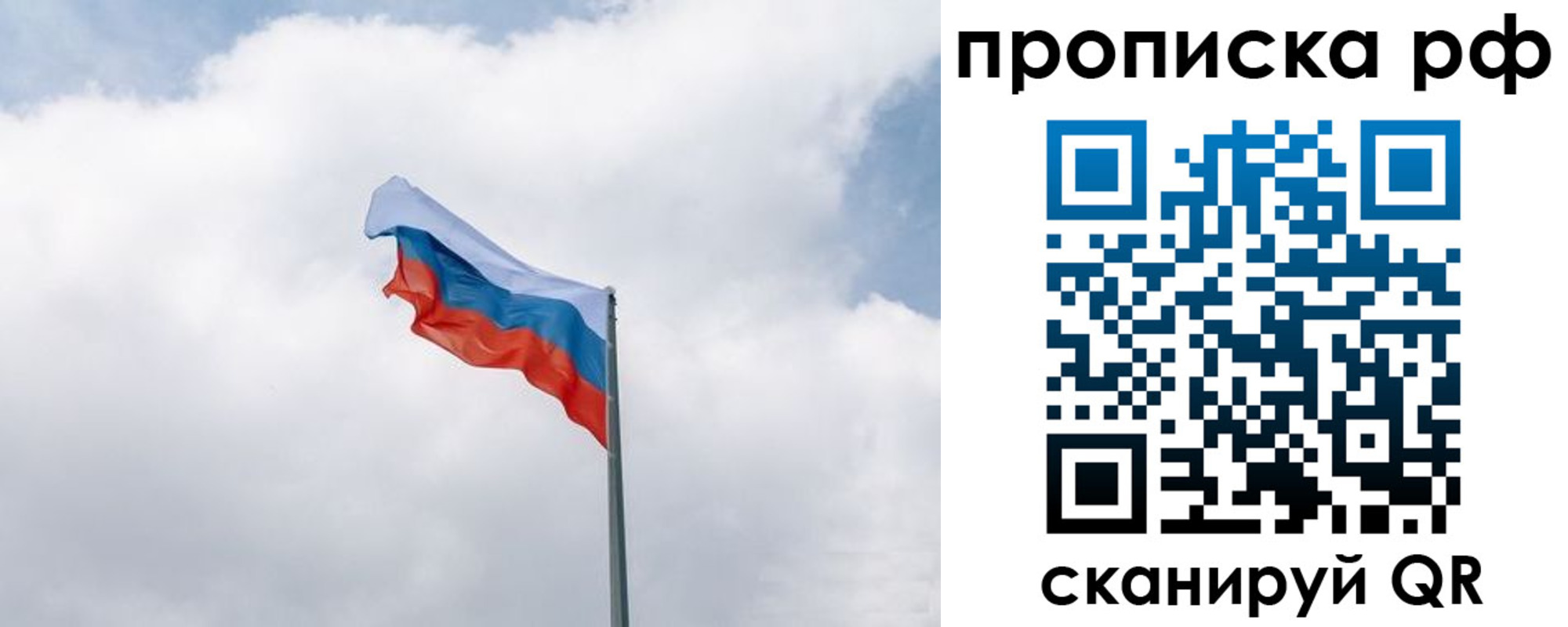 прописка гарантия в Ясногорске